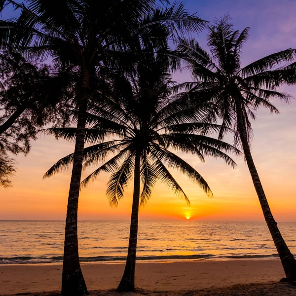 Silhueta de palmeiras ao pôr-do-sol. pôr-do-sol e praia. Belo sol. — Fotografia de Stock