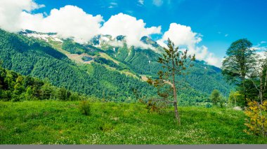Dağ doruklarına. Yeşil dağ manzarası