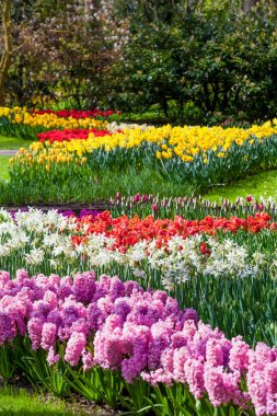 Bahçe peyzaj. Modern Bahçe tasarımı. Peyzajlı Bahçe ve Gar