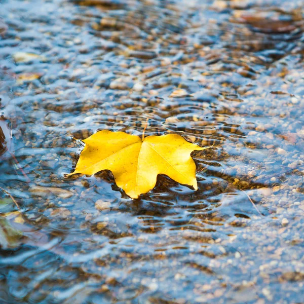 Herbsthintergrund. Ahornblätter im Herbst — Stockfoto