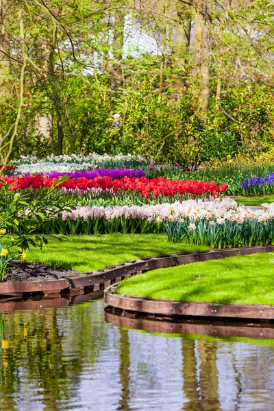 Tuinlandschap. moderne tuin ontwerp. Aangelegde tuin en Gar — Stockfoto