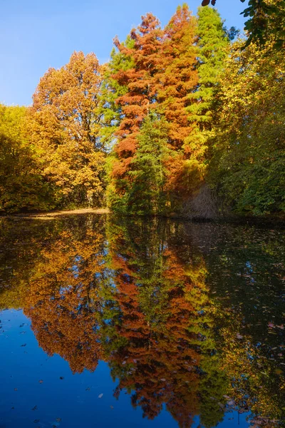 Herfst kleuren op het meer. Herfst Park. Herfst bomen — Stockfoto