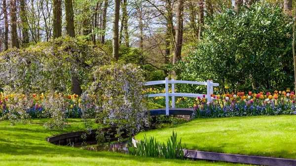 Bahçe peyzaj. Modern Bahçe tasarımı. Peyzajlı Bahçe ve Gar