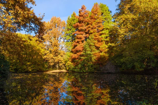 Podzimní barvy na jezeře. Podzimní Park. Podzimní stromy — Stock fotografie