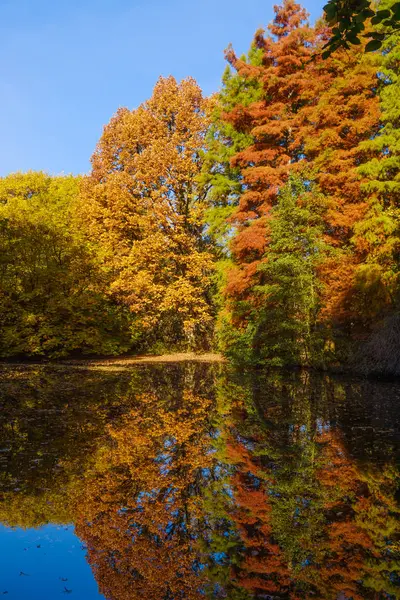 Sonbahar renkleri göl kenarında. Sonbahar Park. Sonbahar ağaçlar