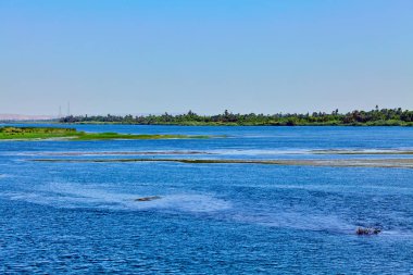 Mısır Nil Nehri. güzel manzara
