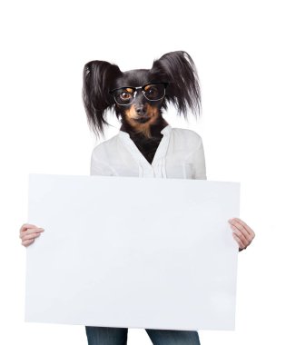 Boş billboard köpek. Köpek afiş veya işareti yukarıda