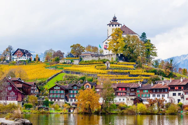 Lago en Suiza. Buchs, Sankt-Gallen, Suiza — Foto de Stock