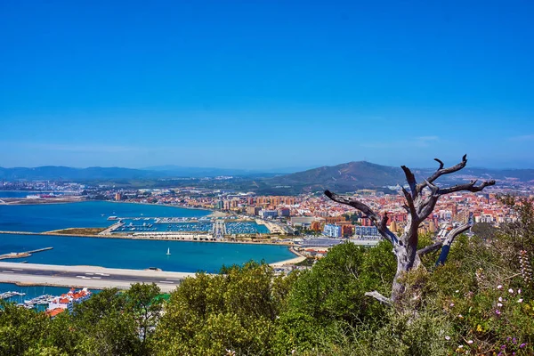 Gibraltar havadan görünümü. Gibraltar İngiltere başkenti Gibraltar