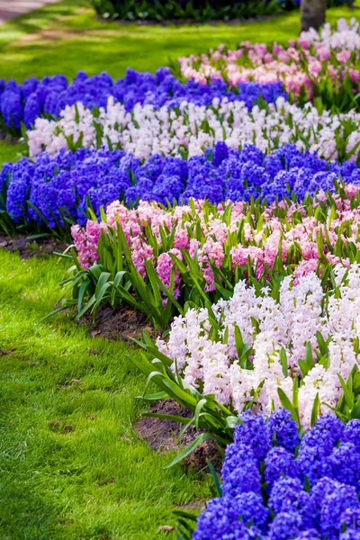 Bahçe peyzaj. Modern Bahçe tasarımı. Peyzajlı Bahçe ve Gar