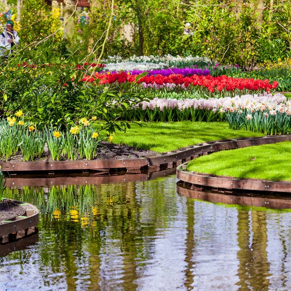 Paisaje jardín. diseño moderno del jardín. Patio y Gar paisajistas —  Fotos de Stock