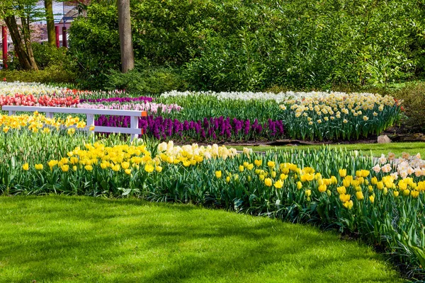 Tuinlandschap. moderne tuin ontwerp. Aangelegde tuin en Gar — Stockfoto