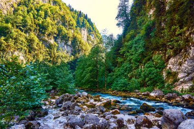 dağlar, orman ve nehir manzara. Dağ doğa la