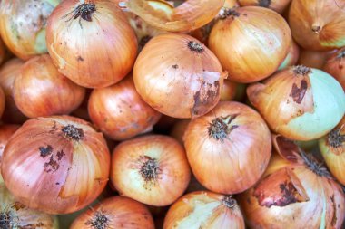 Taze soğan. Soğan arka planı. Olgun soğanlar. Piyasada soğan