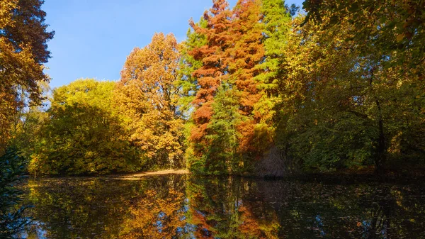 Cores de outono no lago. Parque do Outono. Árvores de outono — Fotografia de Stock