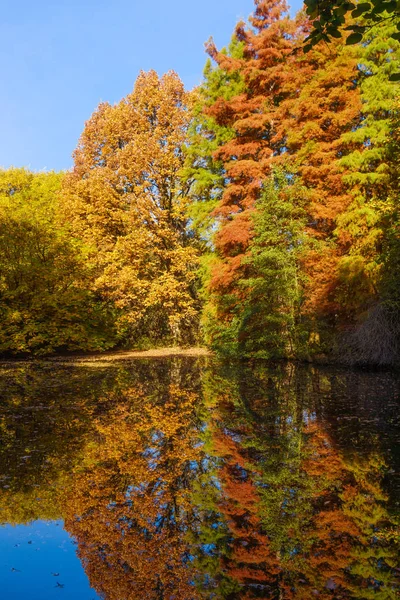 sonbahar manzarası. Park Güz