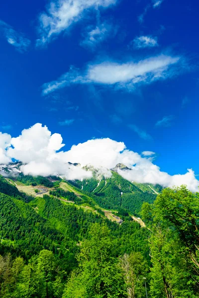 Bergtoppen. Groene berglandschap — Stockfoto