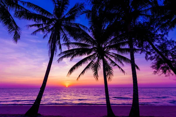 Sylwetka drzewa palmowego o zachodzie słońca. zachód słońca i plaży. Piękne słońce Obrazy Stockowe bez tantiem