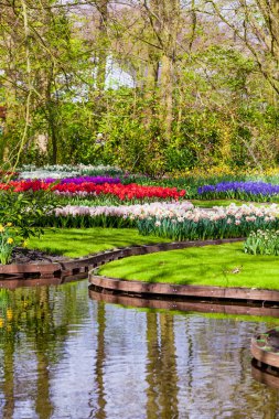 Bahçe peyzaj. Modern Bahçe tasarımı. Peyzajlı Bahçe ve Gar