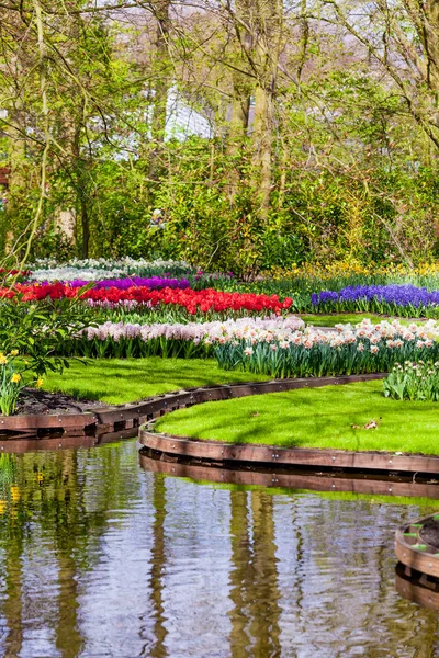 Bahçe peyzaj. Modern Bahçe tasarımı. Peyzajlı Bahçe ve Gar