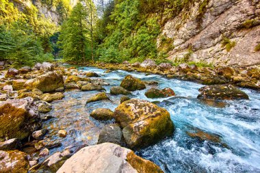 dağlar, orman ve nehir manzara. Dağ doğa la