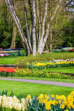 Bahçe peyzaj. Modern Bahçe tasarımı. Peyzajlı Bahçe ve Gar