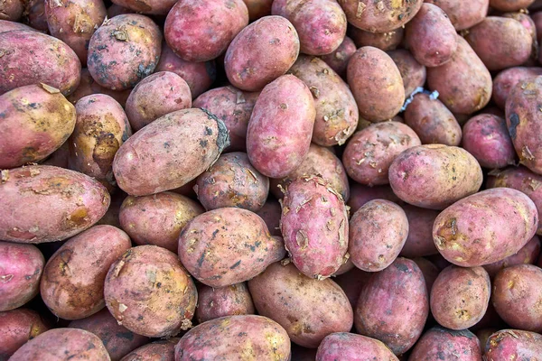 Taze organik patates. patates doku