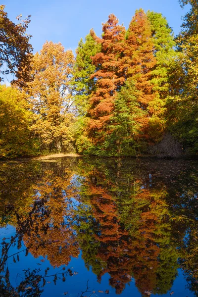 Herbstlandschaft. Park im Herbst — Stockfoto