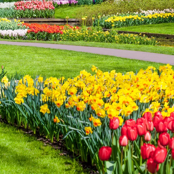 Bahçe peyzaj. Modern Bahçe tasarımı. Peyzajlı Bahçe ve Gar