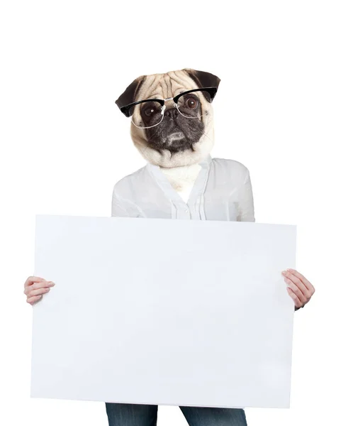 Hond met lege billboard. Hond boven banner of teken — Stockfoto