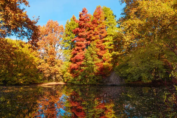 Осенний пейзаж. Парк осенью — стоковое фото