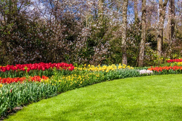 Paisaje jardín. diseño moderno del jardín. Patio y Gar paisajistas —  Fotos de Stock