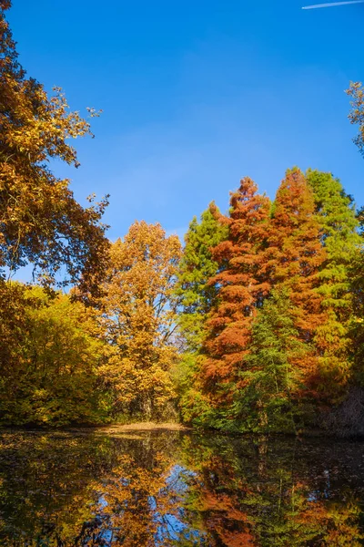Colori autunnali sul lago. Parco autunnale. Alberi d'autunno — Foto Stock