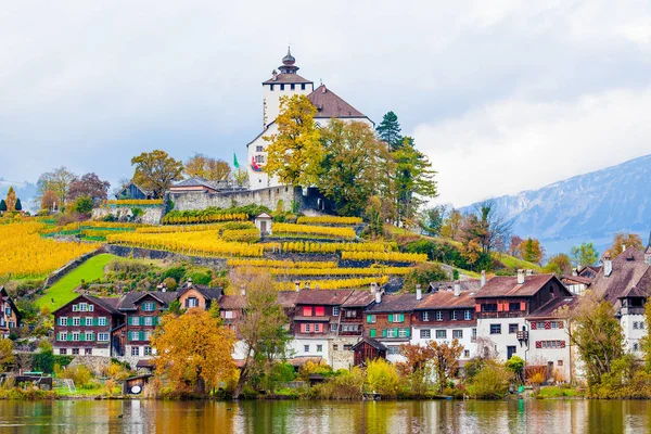 Lago en Suiza. Buchs, Sankt-Gallen, Suiza — Foto de Stock