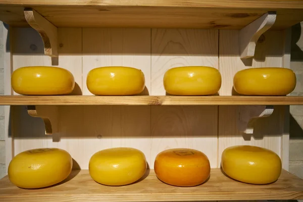 Cheese in a store at Amsterdam, Netherlands — Stock Photo, Image