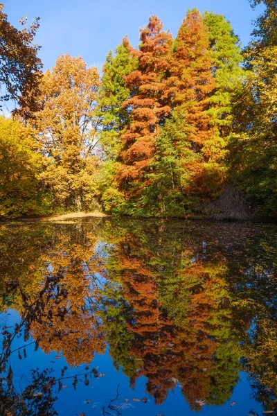 Couleurs d'automne sur le lac. Autumnal Park. Arbres d'automne — Photo