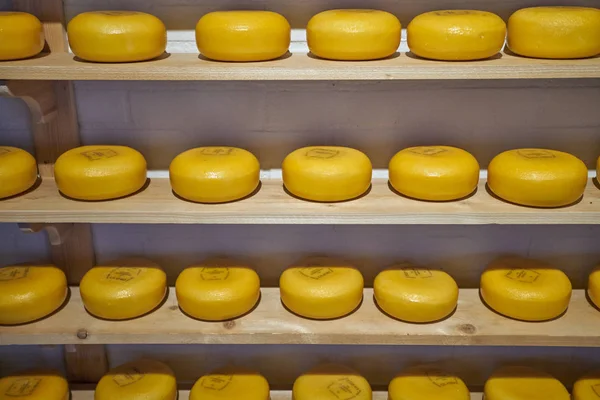 Kaas in een winkel in Amsterdam, Nederland — Stockfoto