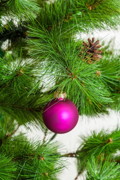 Boule de Noël suspendue aux branches de pin. arbre de Noël decora — Photo