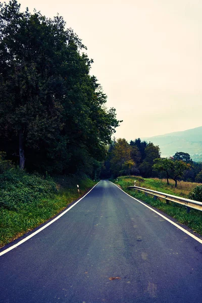 Strada asfaltata. strada nella foresta — Foto Stock