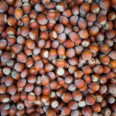 Fındık. Gıda arka plan. Fındık yığınını. Fındık backgro