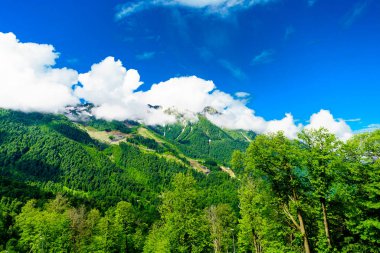 Dağ doruklarına. Yeşil dağ manzarası