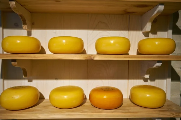 Kaas in een winkel in Amsterdam, Nederland — Stockfoto