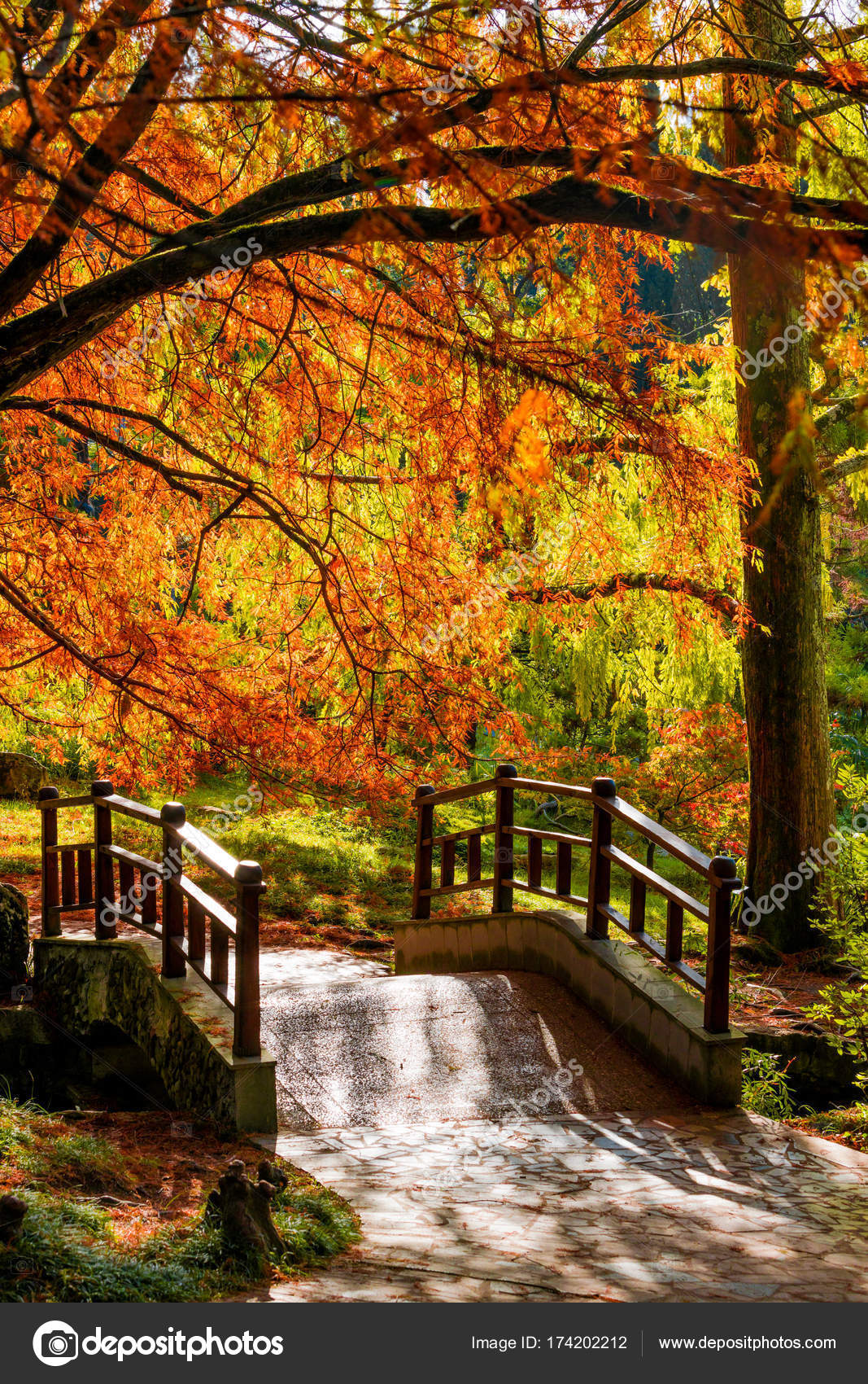 Paysage d automne  Feuilles d arbres  d automne  pont dans 
