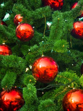 Ağaç dalları üzerinde güzel Noel biblo