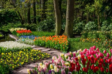 Bahar resmi Bahçe. Renkli çiçek güzel Bahçe