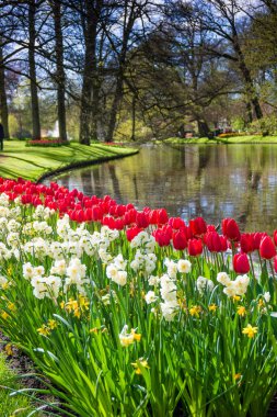 Hollanda 'daki Keukenhof Parkı