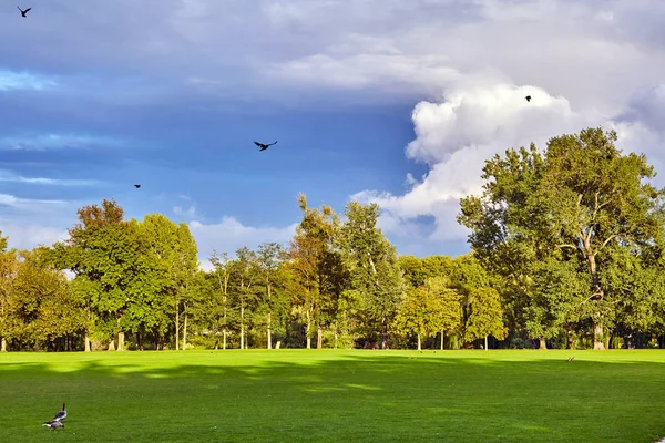 Krásný park scénu. Panorama zelené městského parku — Stock fotografie