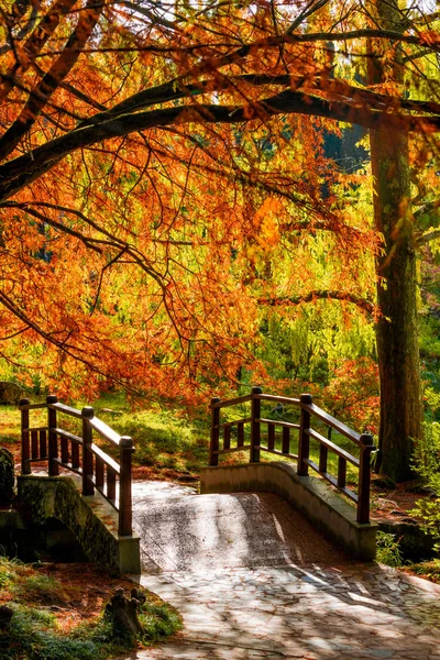 Paisagem de outono. Folhas de árvores de outono. ponte no parque de outono — Fotografia de Stock