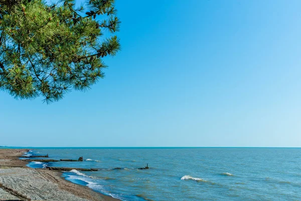 アブハジア、黒海の海岸 — ストック写真
