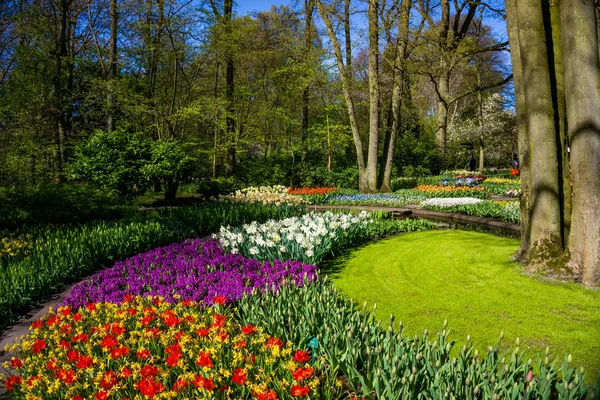 Jardín formal de primavera. Hermoso jardín de flores de colores —  Fotos de Stock